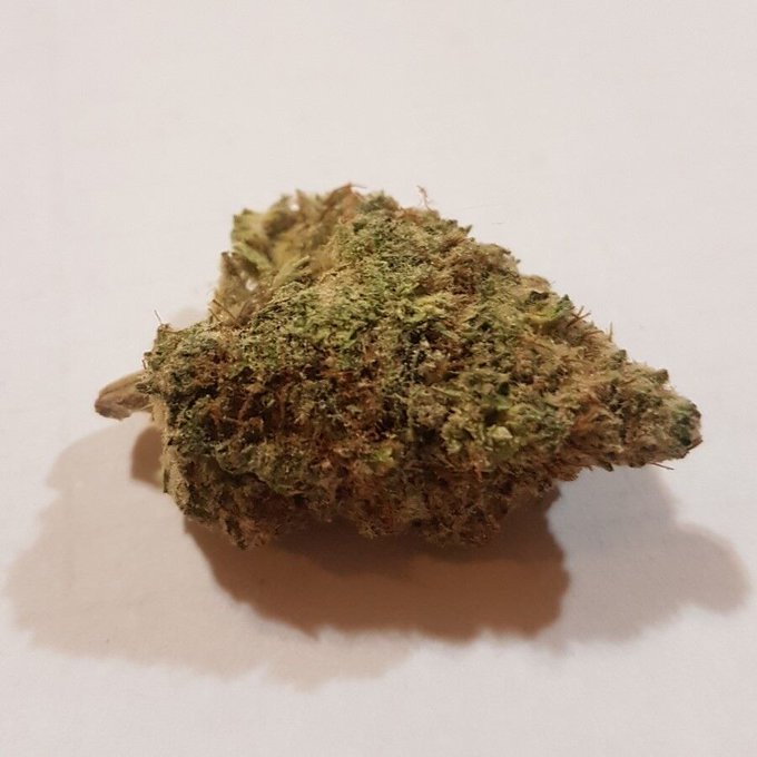 Munsur        
Highest Measured Values        
Total THC 22.16%        
Total CBD 0.02%        
Total CBG 0.93%        
#Cannabismedizin #cannabinoids #cannabismedicinalja #cbdoil #cbdproducts #hepfarm #hempoil #cbdgermany #cbdspain