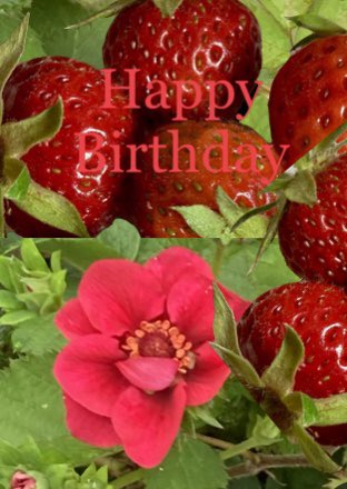 _lexie_long's tweet photo. Happy Birthday https://t.co/3g1WH3gkFX