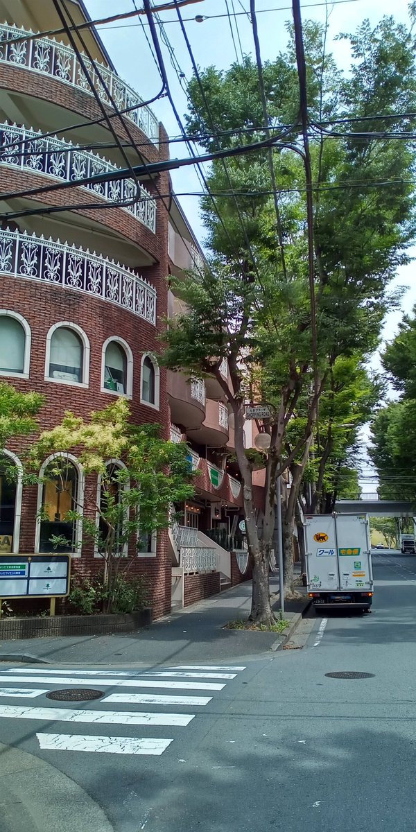 有馬ゆみこの こ はひらがな(関ゆみ子)✈️🫰 tweet media