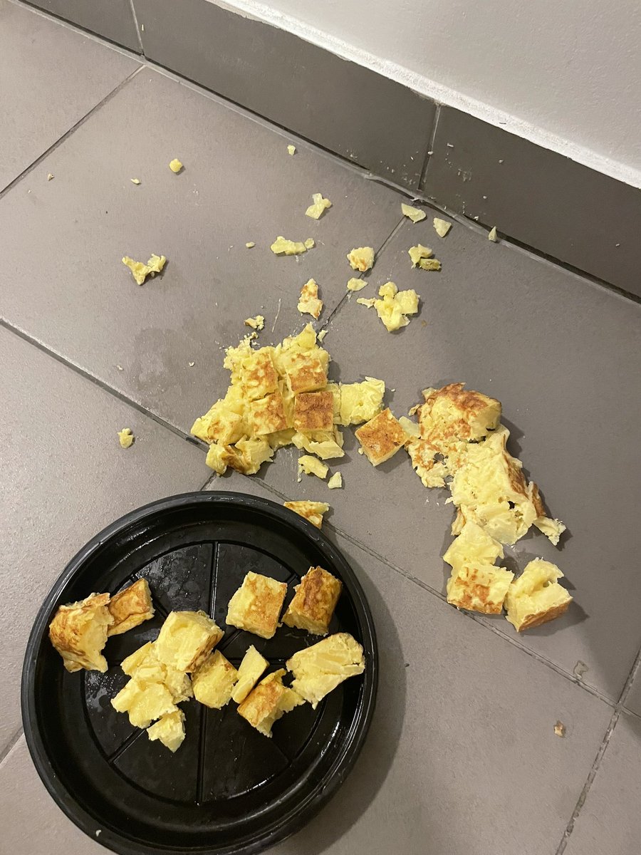 javiisierra's tweet photo. hago 1 puta tortilla POR UNA VEZ EN MI VIDA y me pasa esto os juro q no gano para disgustos estoy DESTRUIDO https://t.co/fVcoDzmPCs