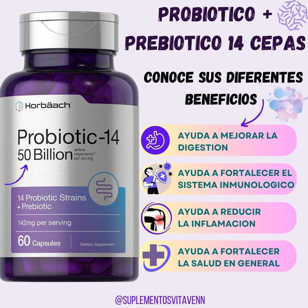 Conoce los beneficios de los Probiotico