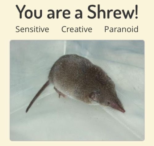 art is too hard (@yrs______) on Twitter photo 