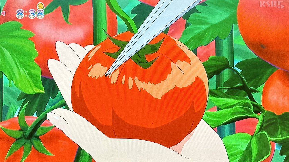 heikayuuji on Twitter 東映プリキュアトマト サンライズ水星トマト 東映アニメーションがライバル心をむき出しにし