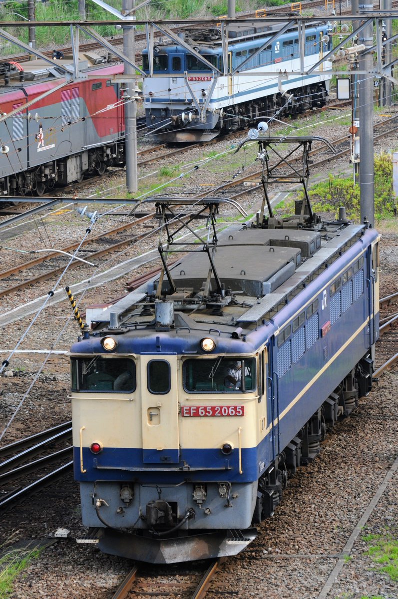 2023/06/25 
5086レ～新鶴見機関区 
EF65 2065  

キヤノンF-1で撮られていたOJゲージさんのシャッター音がメカメカしくてカッコよかったです。