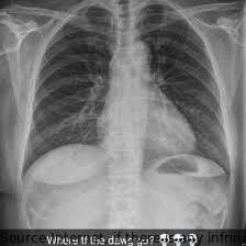 JADEDEWITT5573's tweet image. Even Austin Hill can&apos;t resist the TEMU hype! Use my code &amp;lt;199018250&amp;gt; and you too could be racing towards up to $20 in cash rewards. Download now and shift into gear with the #1 app on AppStore.&quot; #TEMUrocks 🏎️💨💰