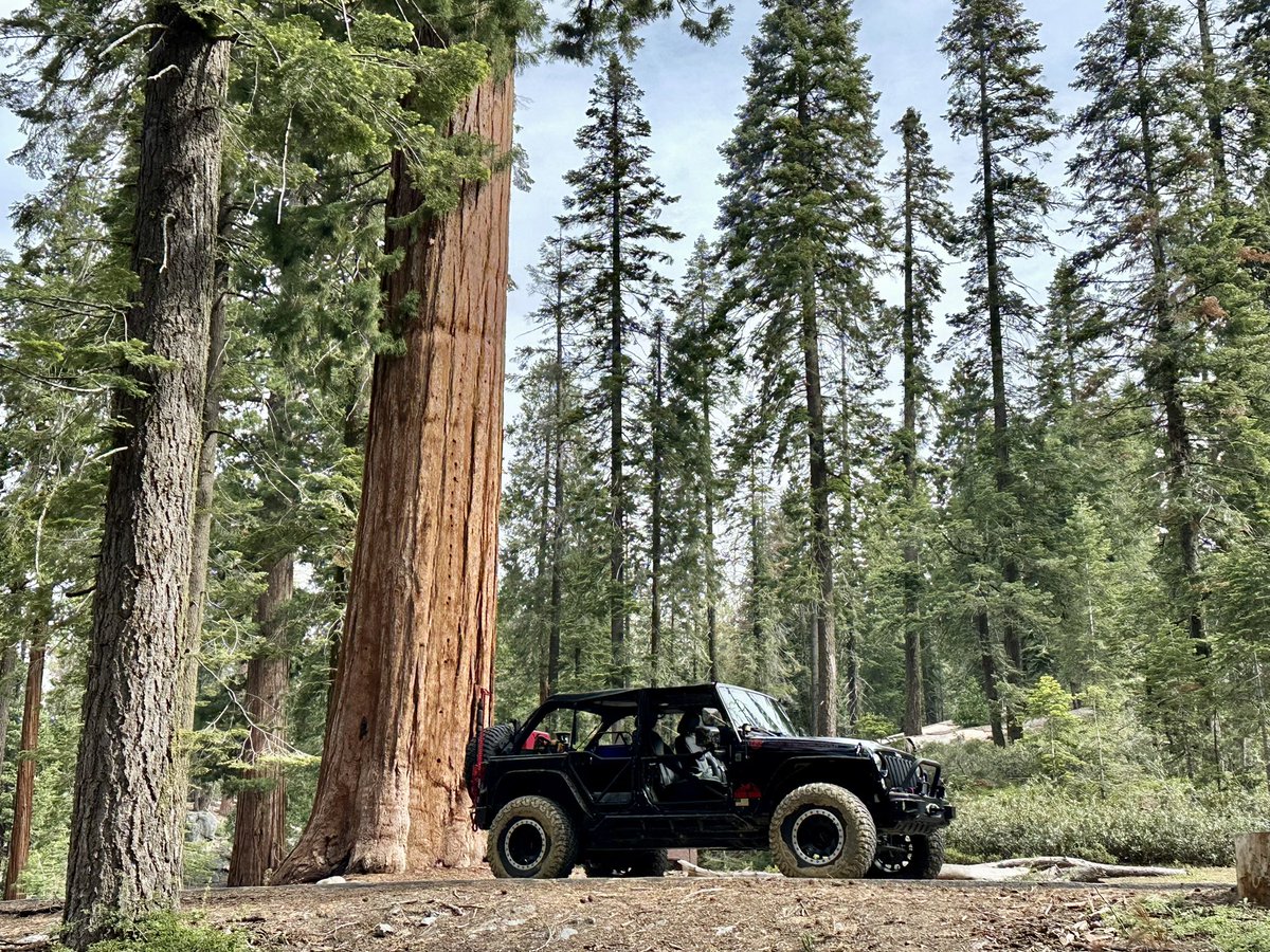 rpx53's tweet image. Trying to find a place to wheel is almost impossible this year with all the trail closures STILL! Come on California get your head out of your ass! #usforestservice