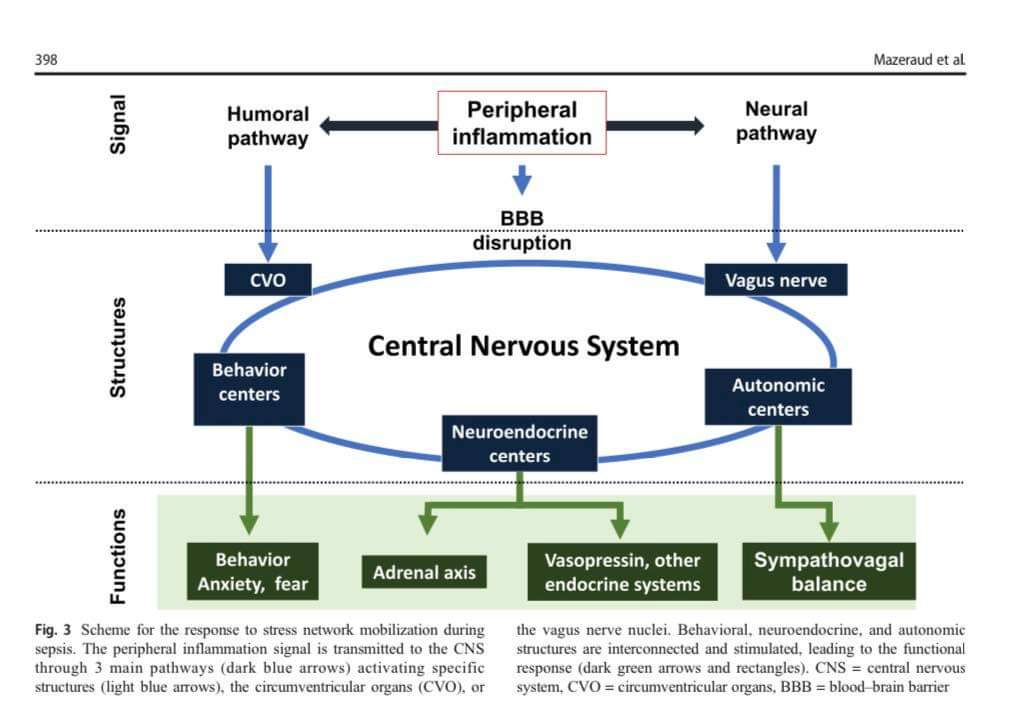 LeslieMegom's tweet photo. 🧠Encefalopatía asociada a sepsis🦠: una revisión exhaustiva📚📚📚📚
👇👇👇👇
https://t.co/ikesMdm3nZ https://t.co/1xFaANDCLl
