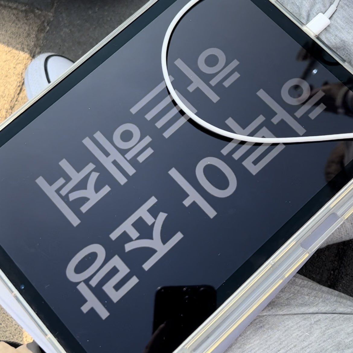 영 tweet media