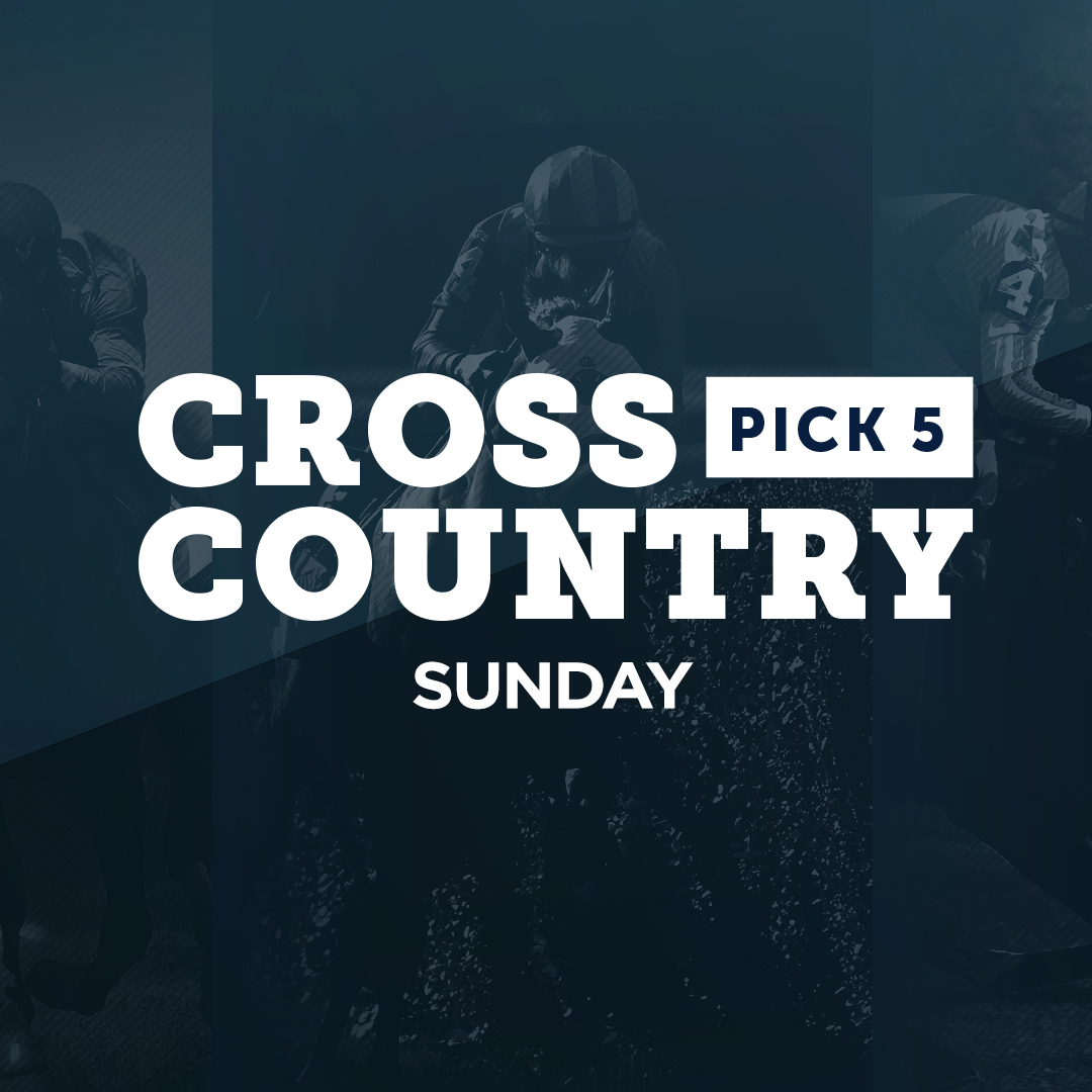 NYRA On Twitter Get Ready For Sunday s Cross Country Pick 5 nyra-on-twitter-get-ready-for-sunday-s-cross-country-pick-5