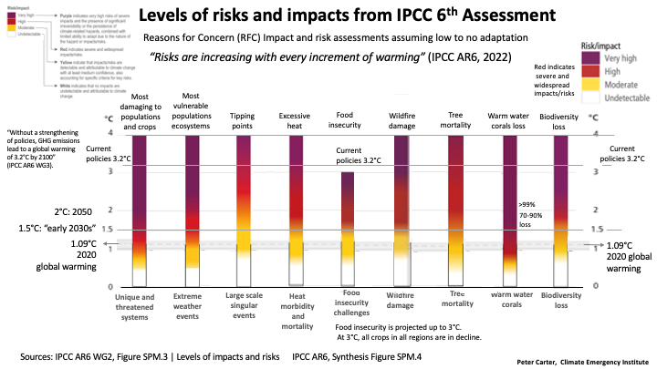 Peter D Carter on Twitter: