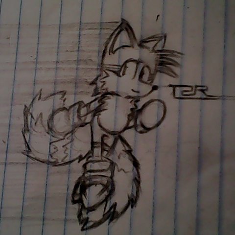 5tripedtailz's tweet photo. fluffy https://t.co/iIdoxoh7tL