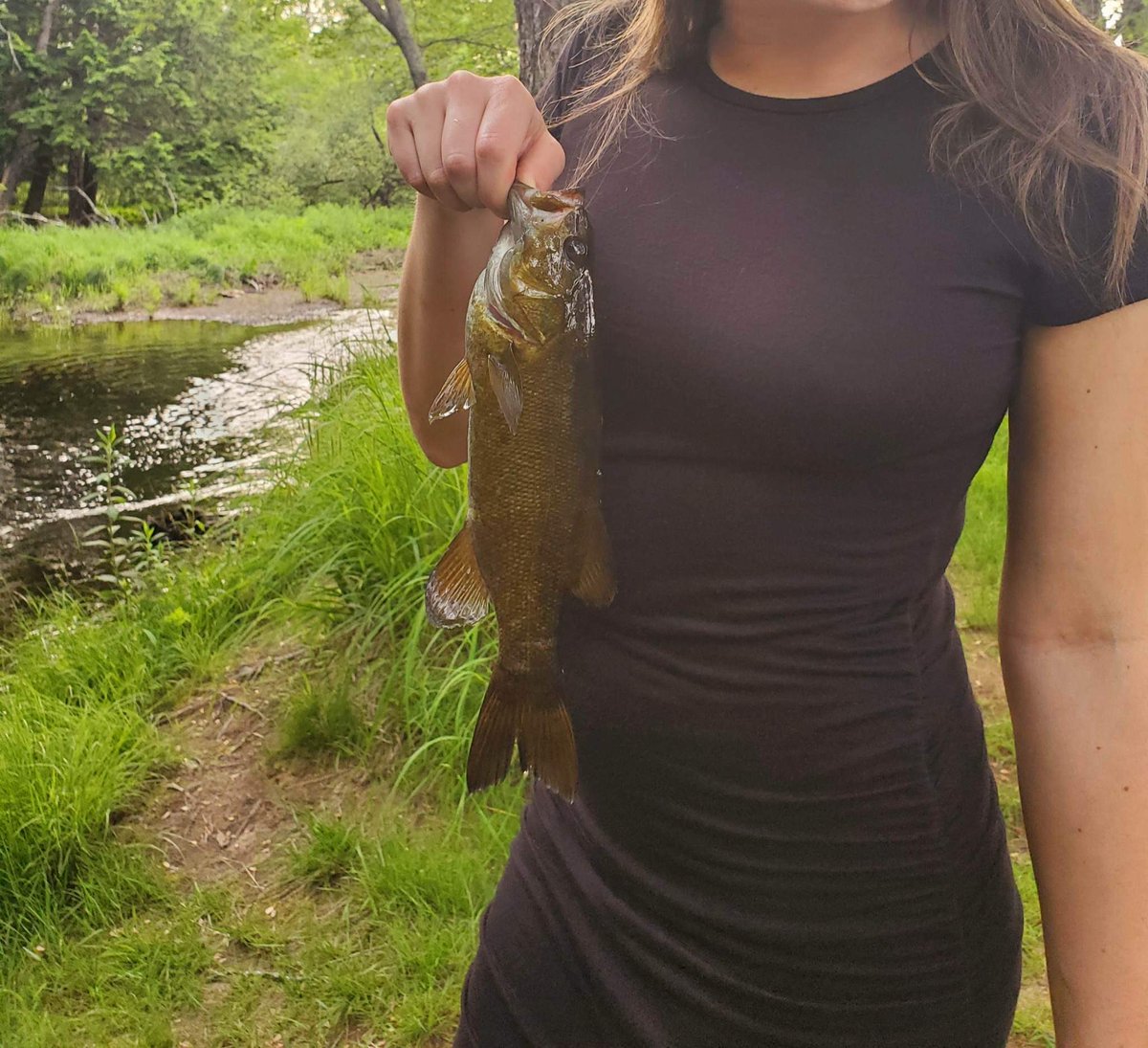 The Original Burnsie on Twitter "Dark rum, purple kush, no pants, fly