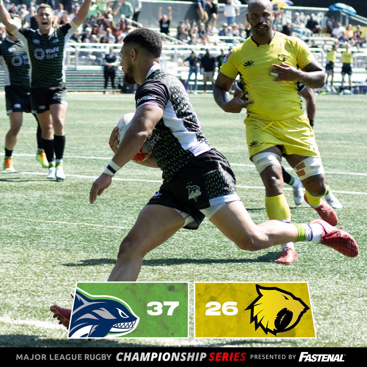 SEAWOLVES DO IT! @Hou_Sabercats left it all on the pitch, but it's your @SeawolvesRugby who advance to the Western Conference Final. @FastenalCompany | #QuestForTheShield | #MLR2023