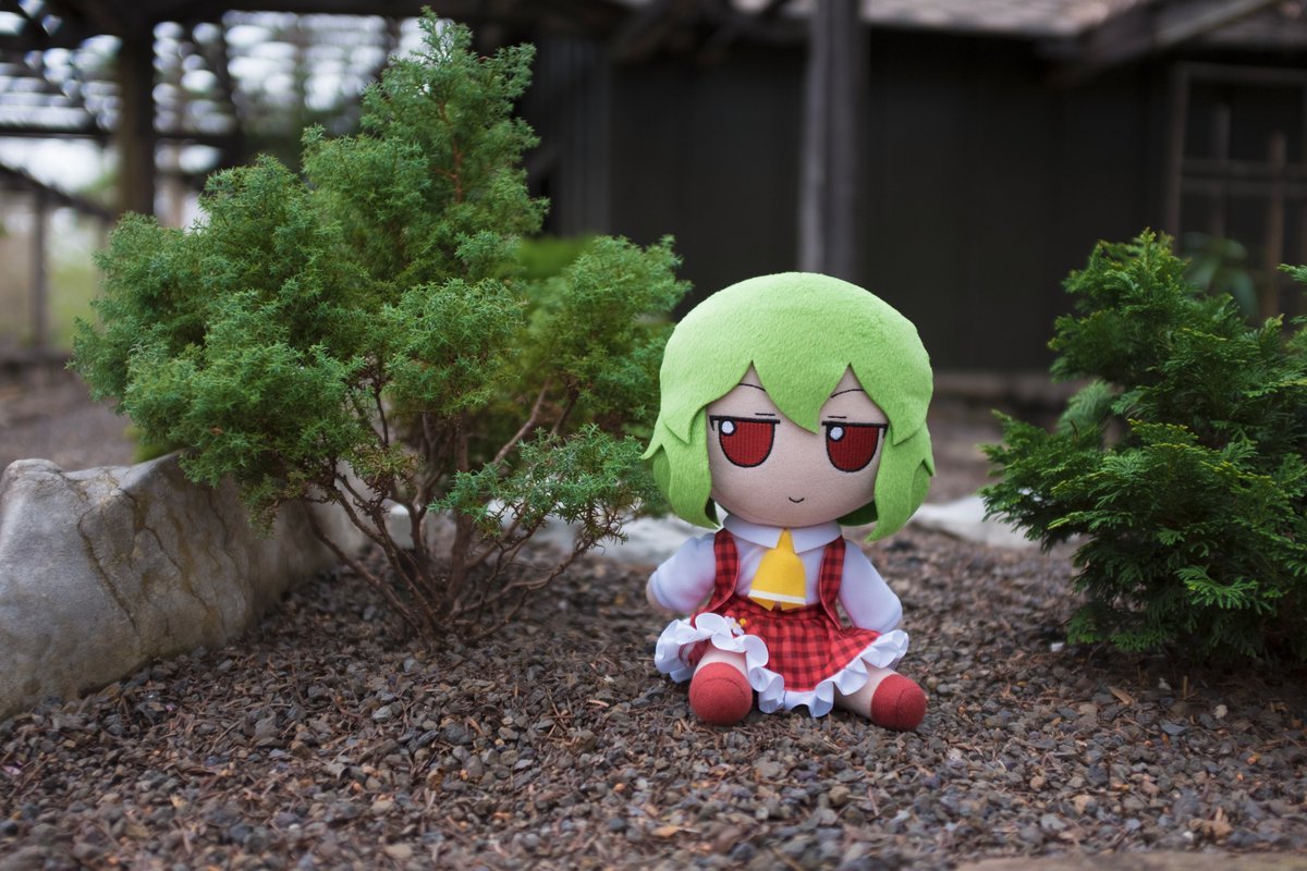 yuuka's tweet photo. i love this view https://t.co/LLfLZKNVFN