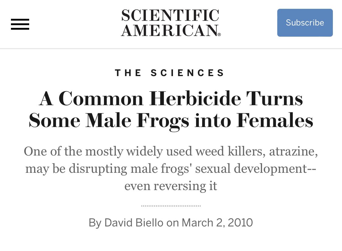 MythinformedMKE's tweet photo. Atrazine, the chemical that turns male frogs into female frogs in 3 years, has been in our drinking water for over 30 years. https://t.co/Lx5Dybmt5G