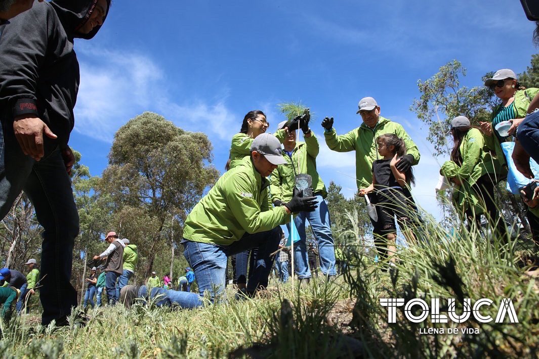 TolucaGob's tweet photo. 🌳 ¡Estamos llenando de vida #Toluca con nuestras Jornadas de #Reforestación2023! ➕🤲🏼

Con el objetivo de cuidar el medio ambiente siguiendo la estrategia de nuestro Presidente Municipal, @RaymundoMC, hemos iniciado este programa para combatir el cambio climático. 🪴🌎 https://t.co/wXW3zC60ct