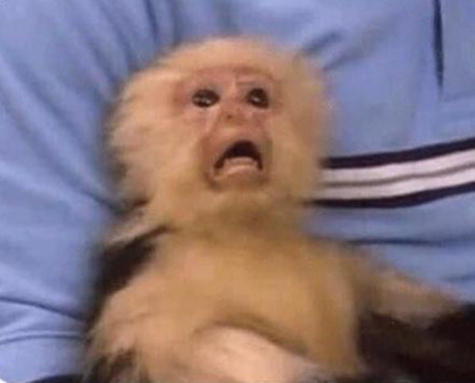 When you go to cleck "next episode " and realize you just finished the series