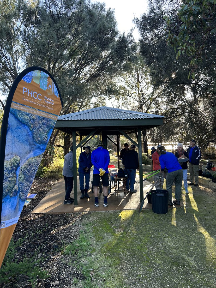 Beautiful day for planting. PHCC is proud to support the Friends of Samphire Cove along with DBCA in their revegetation efforts. With last year’s planting having a 90% the plants are in good hands! #NLP #Ramsar482 #Landcare
