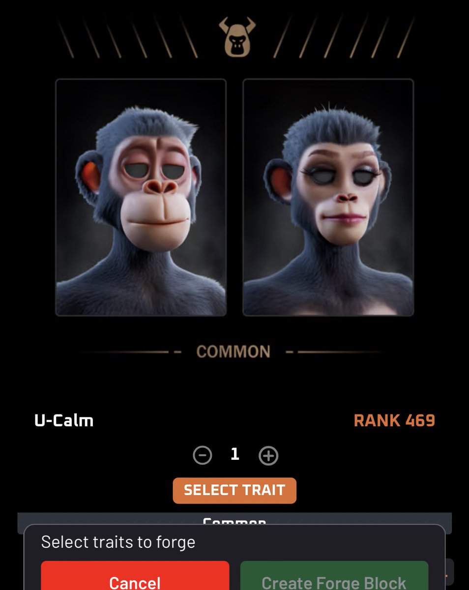 Guided Wanderer 🦁 tweet media