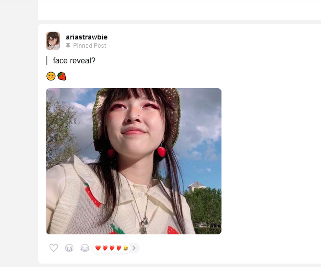 celescynt's tweet photo. Hi everyone! My name is Ana, also known as Mei online. This is gonna be a long and kind of unusual post.
For the last 3 years, I have been stalked and impersonated online by @ariastrawbie/ Aria Sophy, who I will refer to as her real name Sheena. 🧵 https://t.co/73LDUCWfYo