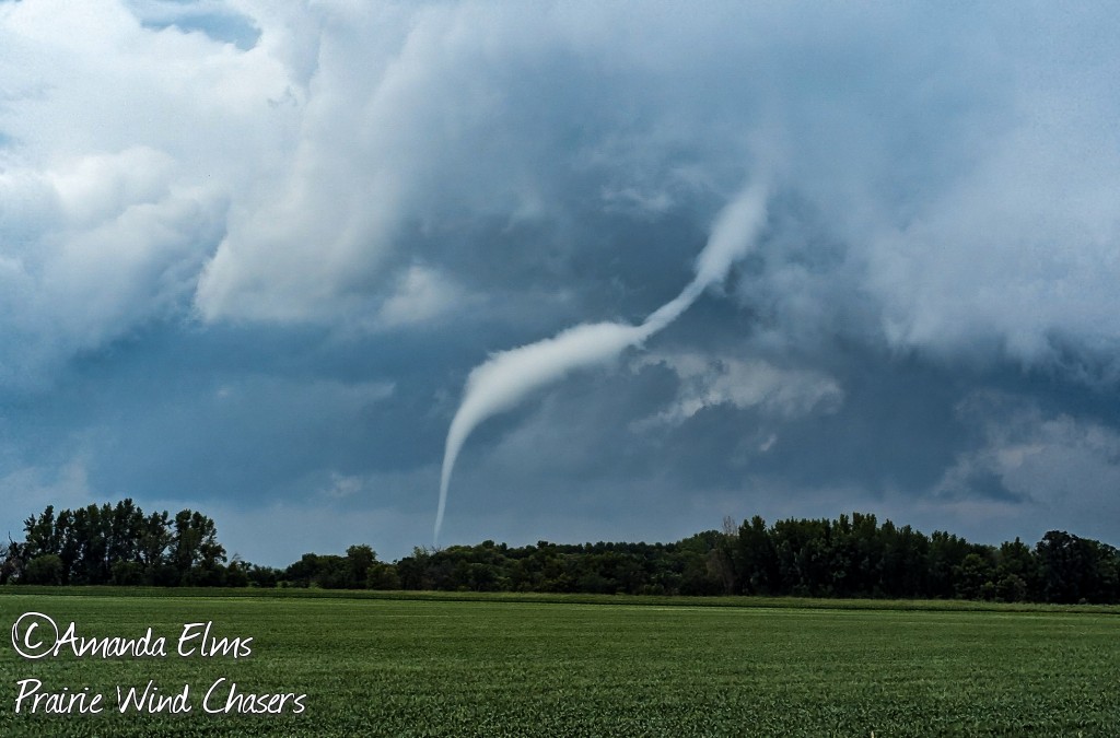 ROPE OUT! ROPE OUT! Just outside of Borup, MN in Norman County. (6/24/23 3:30pm) (FGF) #mnwx @ReedTimmerAccu @NWSGrandForks  @WeatherNation @weatherchannel #mnwx