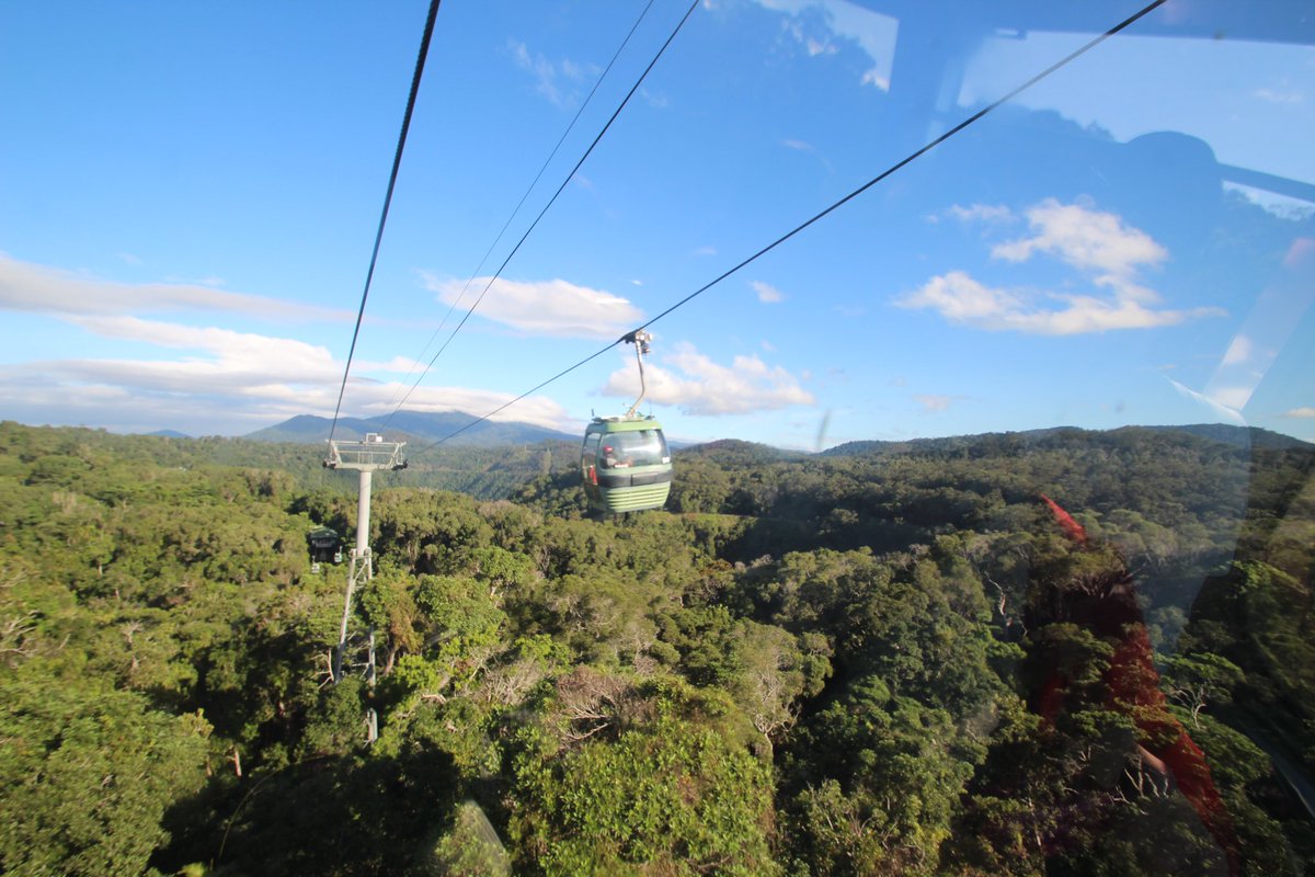 alice_nerdland's tweet photo. “Austrália I miss you”

 Photos of my trip to the amazing world that is Australia!
It felt like home and I miss it dearly. 💖

#australia #australian #joy #happiness #love #nature #city #new #miss #imissyou #sunshine #beauty #traveling #exploring #exploringaustralia https://t.co/nJgkMeijJU