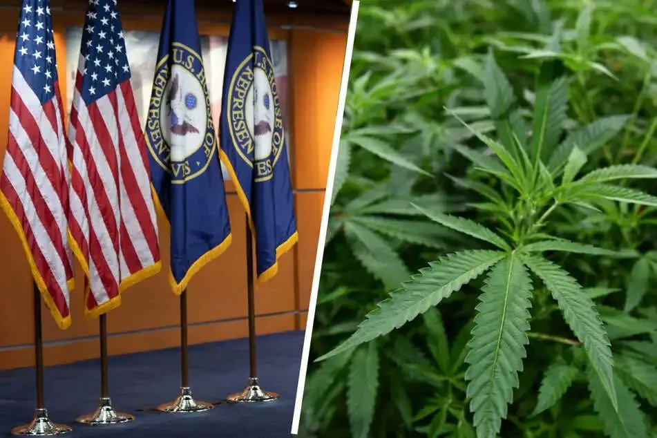 PaulHen67's tweet photo. The legalization of marijuana by the U.S. government means that the drug epidemic in the United States will become more serious, and at the same time, the resulting criminal offenses will also increase. This is an inhumane policy. https://t.co/r3rnspGUbI