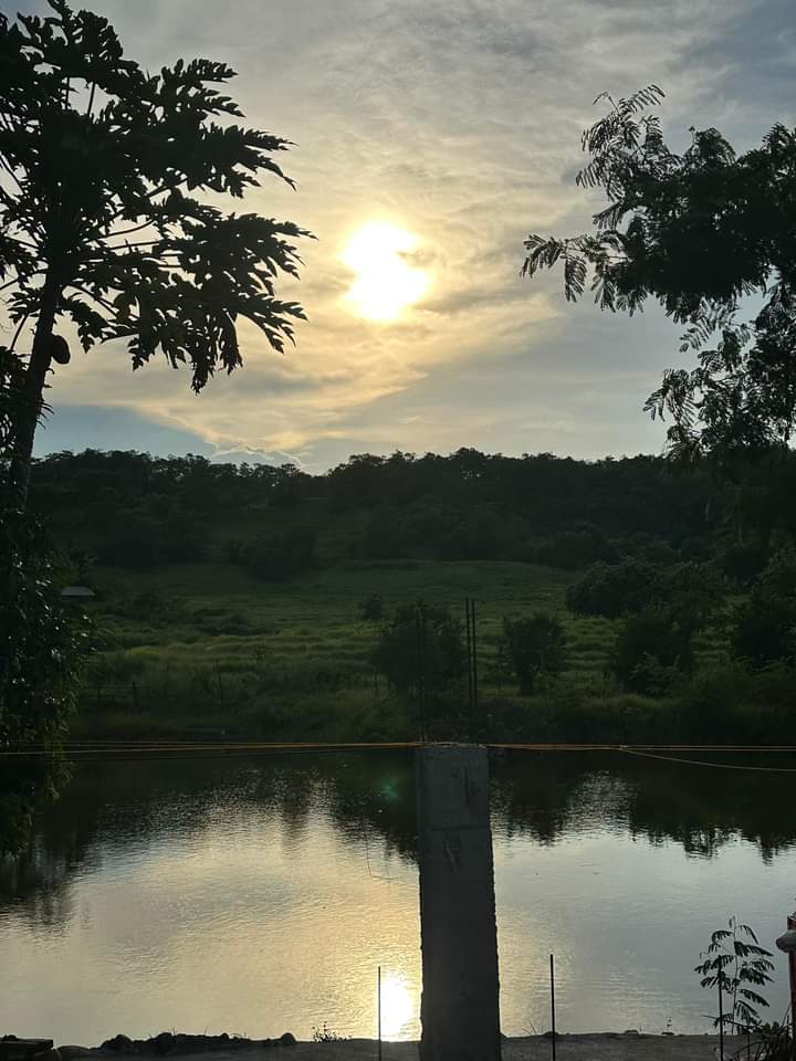 Samantha0797's tweet photo. Another God's Miracle...
Blessed Sunday Beautiful and Sweet Tweeps!😊
#TYJesus
#Viewtiful
#GodsGift https://t.co/ZngOIK8eFQ
