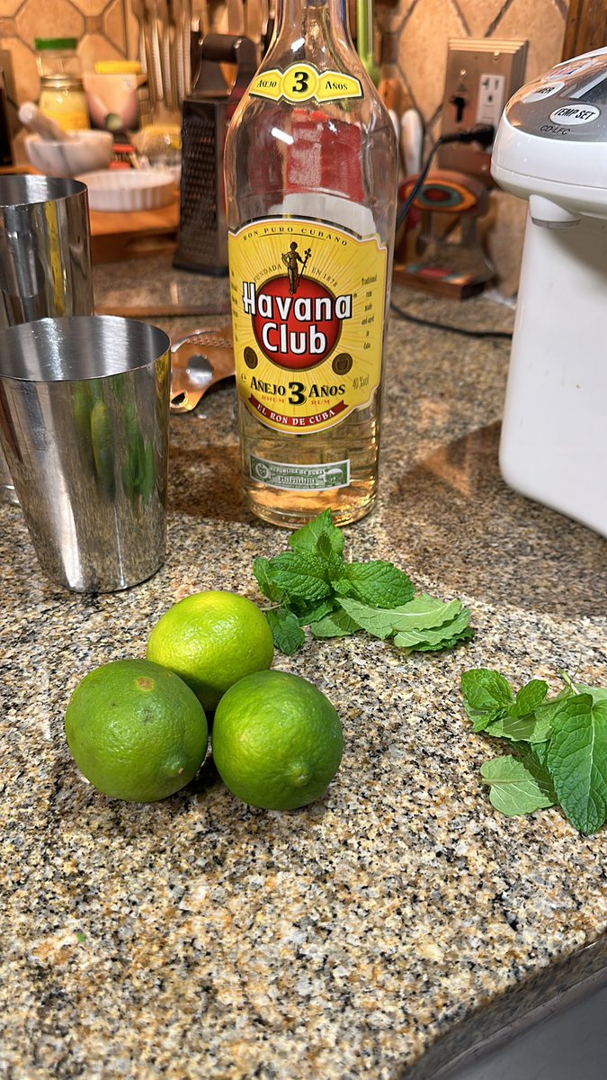 Fresh mint.. that means it’s Mojito time.