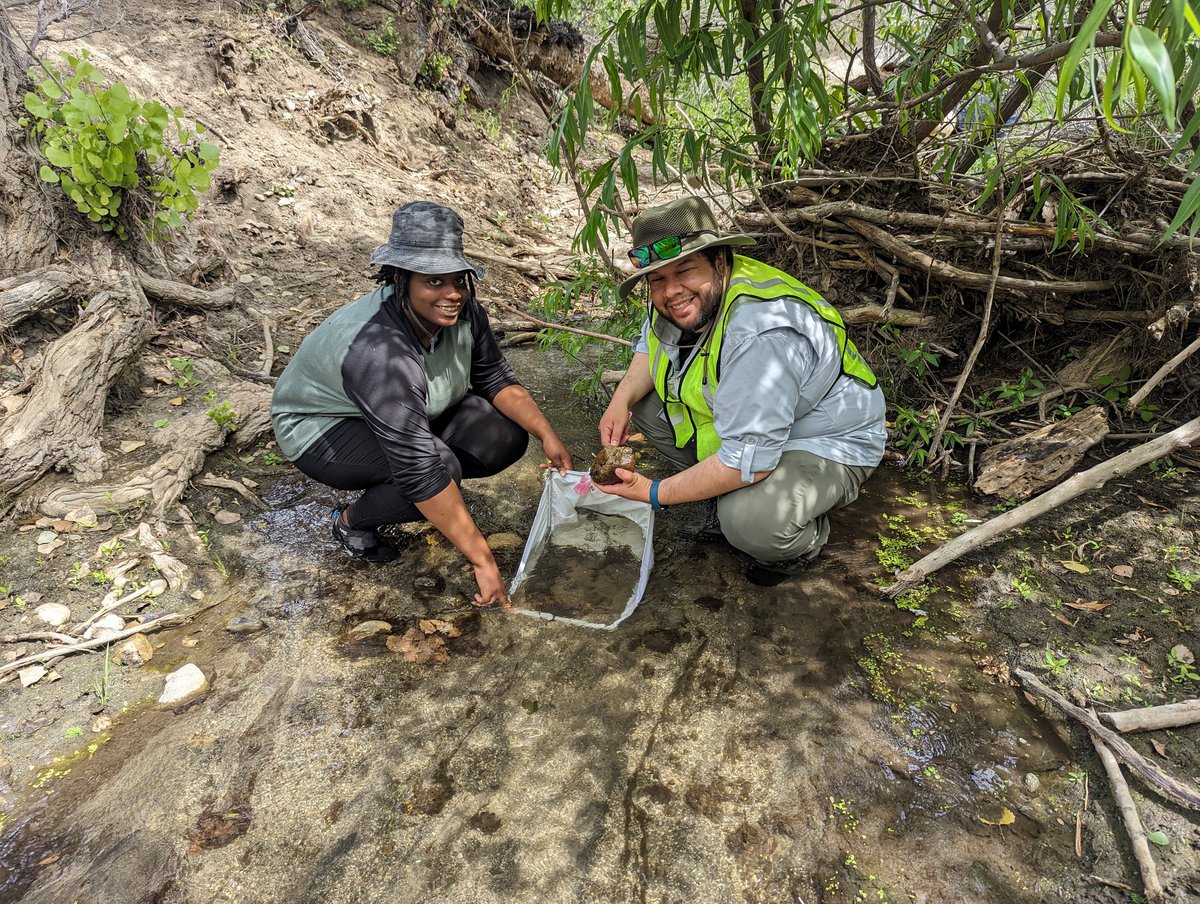 McNeishAqEcoLab's tweet photo. Successful first day of stream sampling  @tejonranch for Johnathan Juarez's M.S. research project after many cancellations. 🙌🙌🙌 https://t.co/2LxHwkQOm2