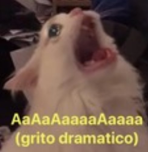 En estos momentos soy ésta