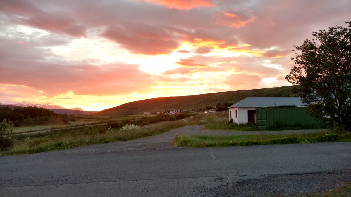 Brianno Coller tweet media