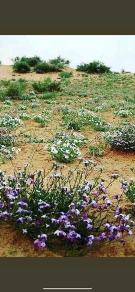 اللهم اني أسألك حسن الخاتمة وأسألك توبة نصوحًا قبل الموت يامثبّت القلوب ثبّت قلبي على دينك.