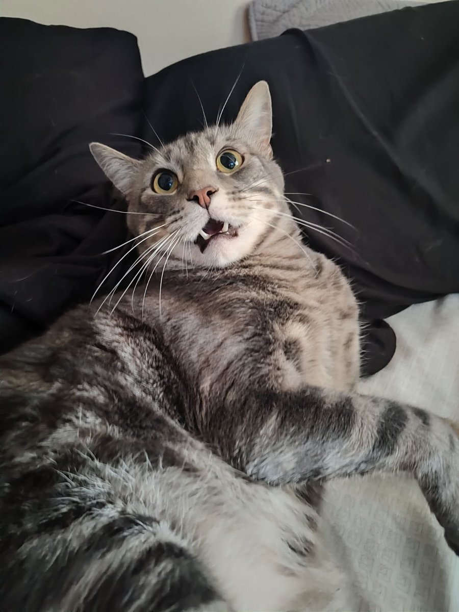 🍖tam🍖 (@taaamyra) on Twitter photo 