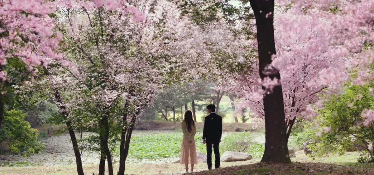 see you in my 19th life cinematography

 #SeeYouInMy19thLifeEp3