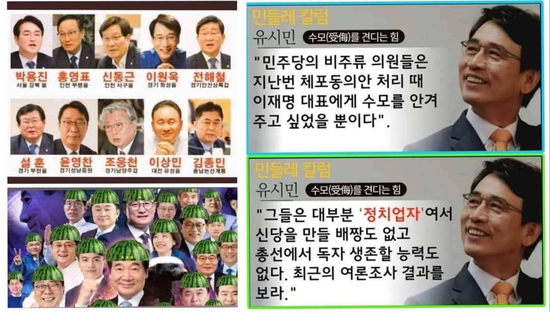 <a href="/korea0999999/">💞파랑새💦💞🍃</a> 썩은 수박새끼들 입니다