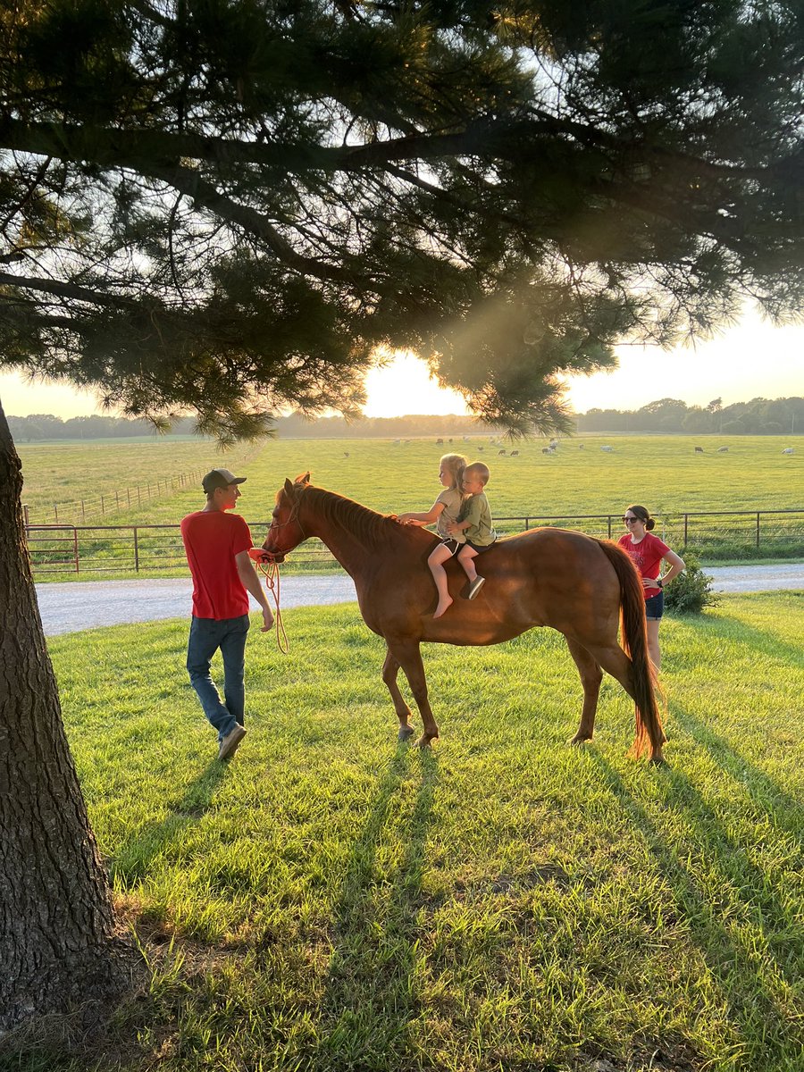 It’s been a full day at the farm I’m betting they sleep good tonight