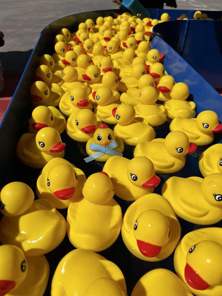kettle_tamacorn's tweet photo. アヒルが流れてるゲームを発見！！これはキングが治める金色の王国を流れる金色の川にゆたっているアヒルたちなのでは⁈
居ても立っても居られず、お店の人に許可もらってアヒル隊長も流してもらった。
（お店の人が生暖かく見守ってくれた）
✨✨✨🐥🐥🐥🐥🐥🐥🐥✨✨✨ https://t.co/7tGWRAKKvP