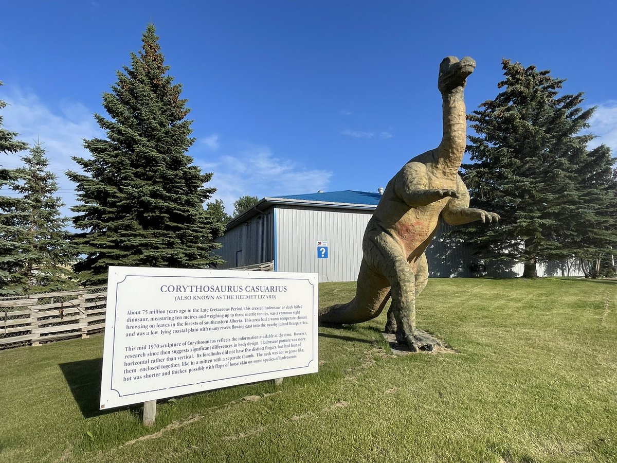 Cross Border Network tweet media