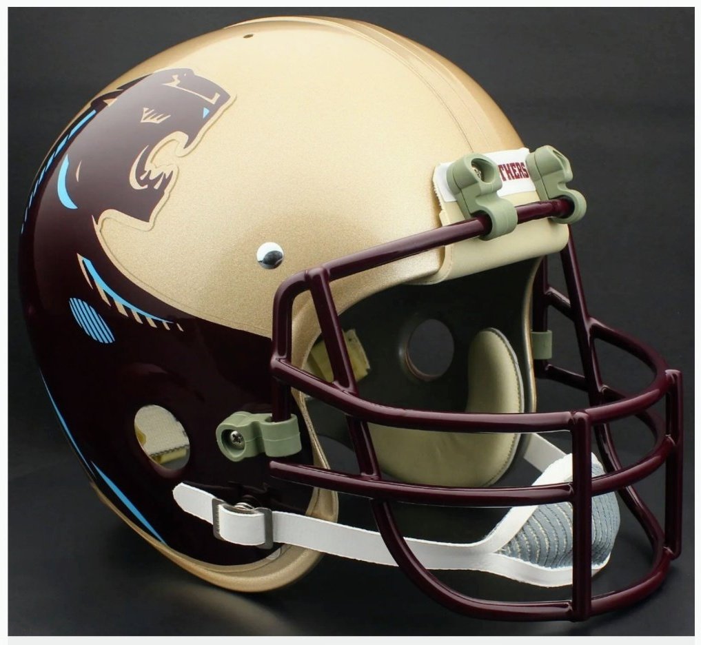 FB_Helmet_Guy tweet media