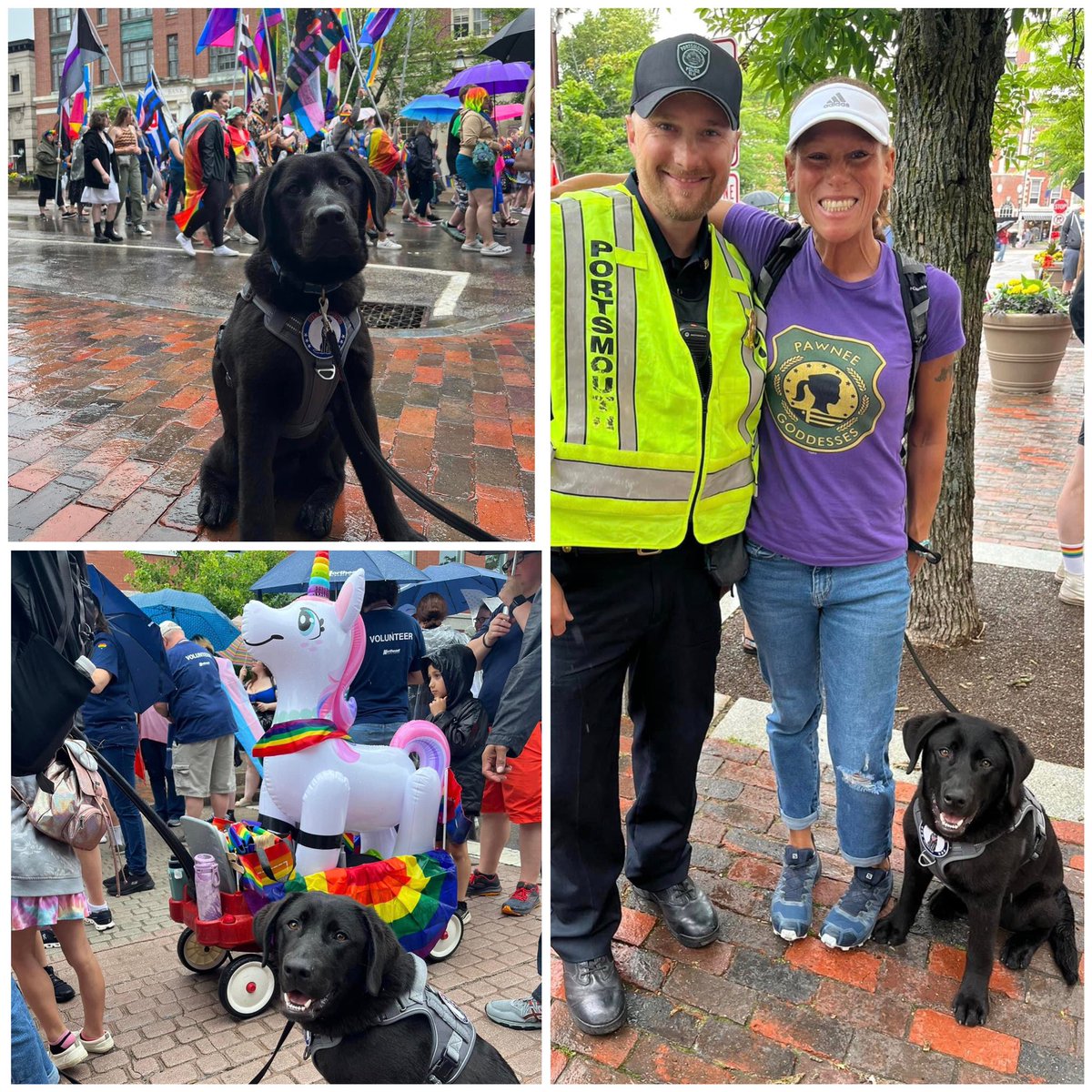 rjonzi42's tweet photo. Pride parade and my first day of training as Mason the PPD Comfort Dog’s secondary handler!  Mason and Hero Pups did a great job showing me the ropes.  We made a lot of new friends today! Great time had by all and I certainly learned a lot!  🏳️‍🌈🐶💙🚔#heropups https://t.co/GhhHMVIvOn