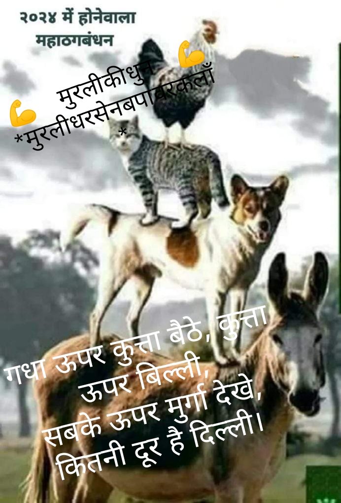 २०२४ की एक झलक