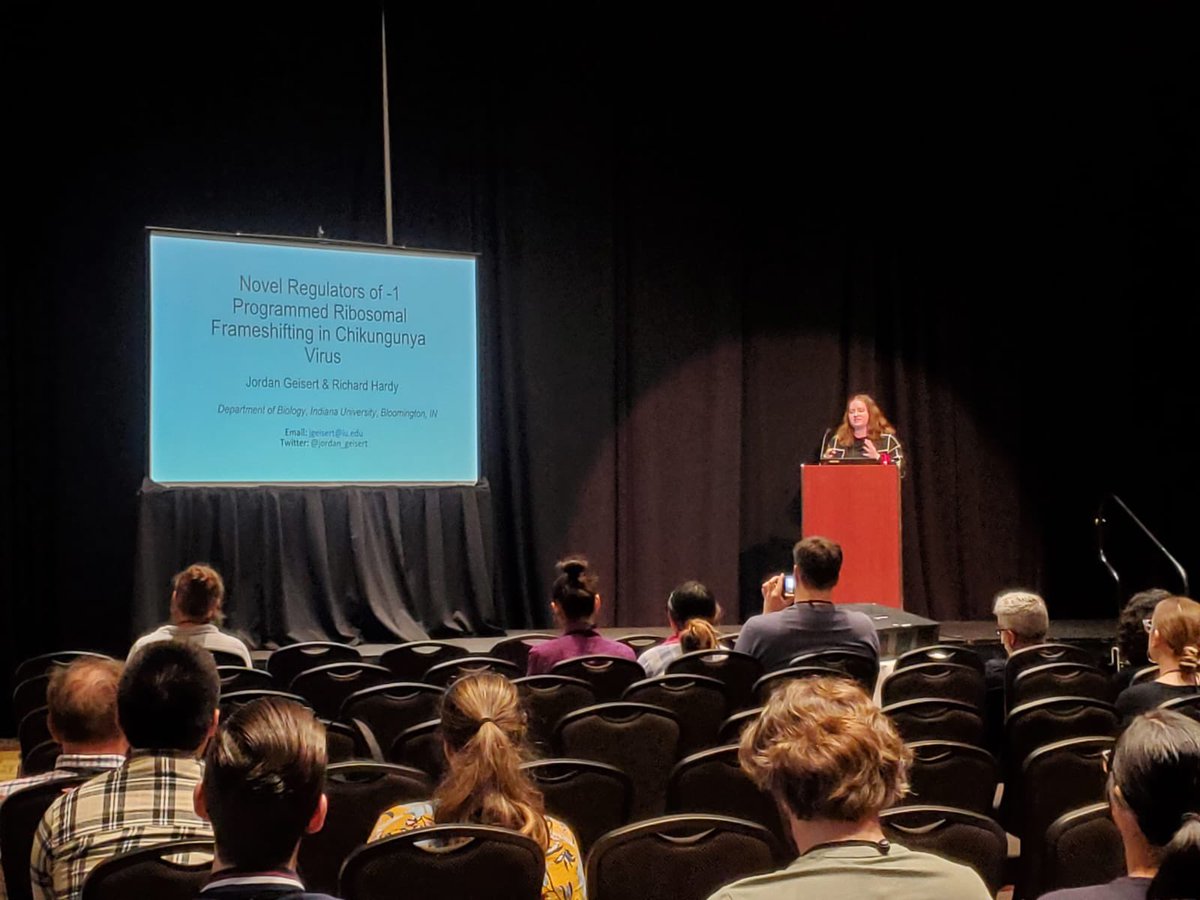 Jordan did a great job presenting her research contributing to the list of responsibilities the CHIKV capsid protein has! #ASV2023