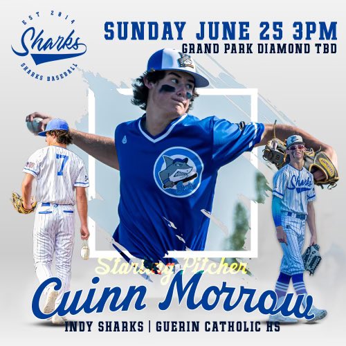 Indy Sharks Baseball tweet media