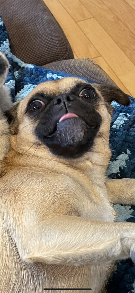 Dr. Kelli Mullane tweet media