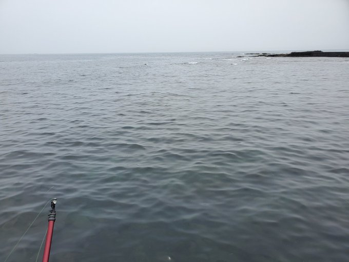 仕事と原稿の息ヌきに海へ

小さいけれどメジナGET🐟快晴じゃないけど気持ちよい釣り日よりですワヽ( ・∀・)ノ 