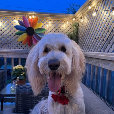 Ms. Anthony tweet media