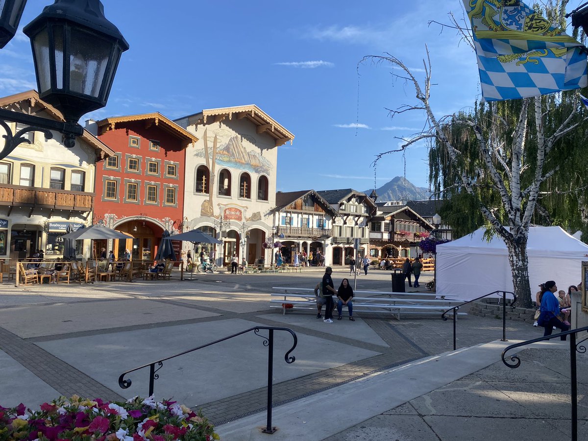 Andrew A tweet media