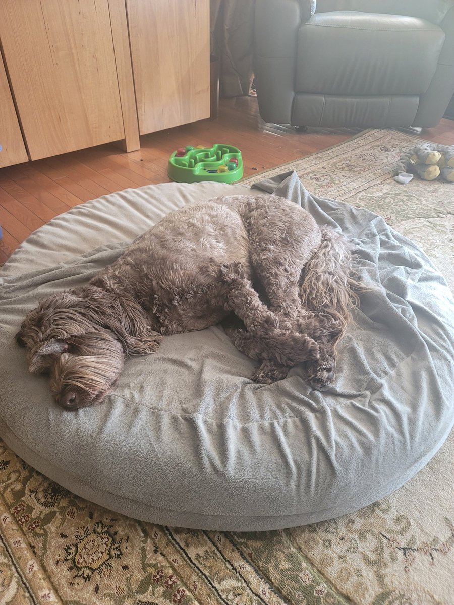 GeoBrandi tweet media