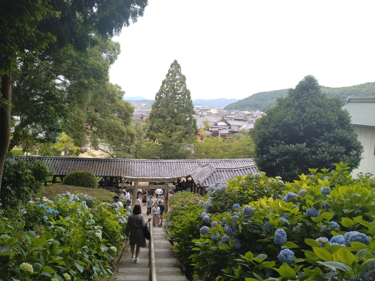 吉備津神社⛩️
あじさいまつり